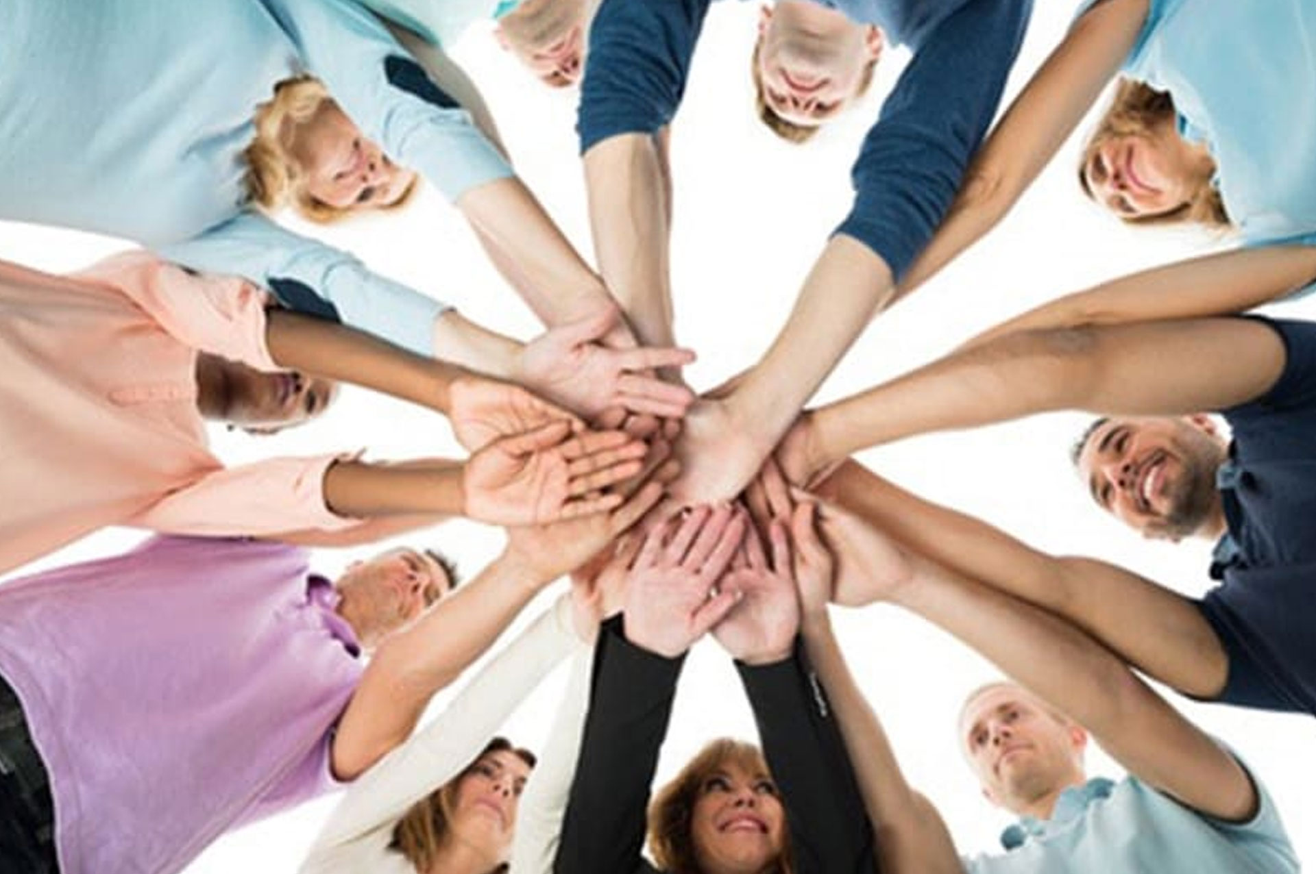 partner-e-collaborazioni-ippogrifo partner-e-collaborazioni-ippogrifo